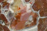 Colorful Polished Thunderegg Half #373451-1